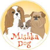 Mishka Dog